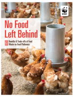 Benefits & Trade-offs of Food Waste-to-Feed Pathways Brochure